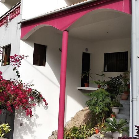 Apartament Damontanha 2 Ribeira Grande Zewnętrze zdjęcie