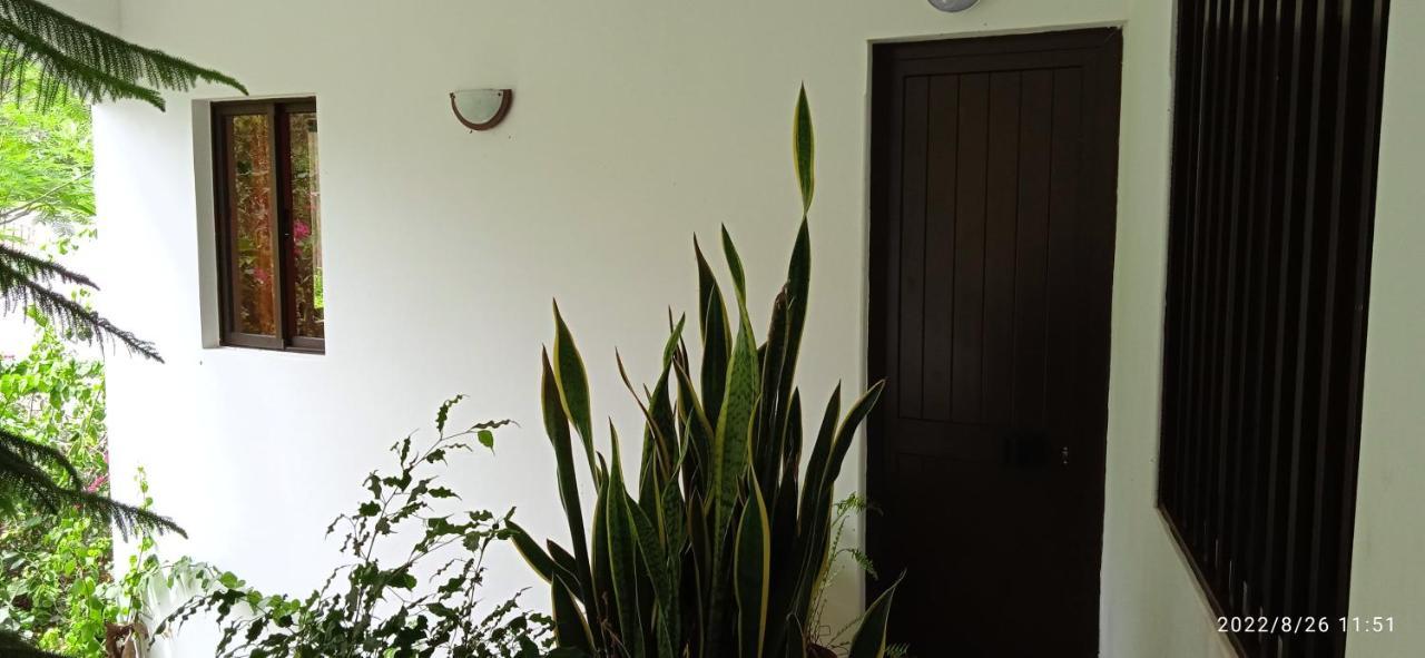 Apartament Damontanha 2 Ribeira Grande Zewnętrze zdjęcie